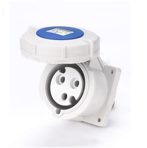 32A 2P+PE IP67 Industrial Sockets